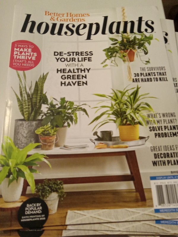 Houseplants BHG De~Stress Your Life w/Healthy Green Haven