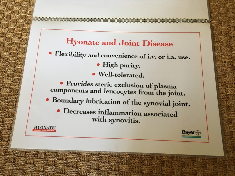 Equine Joint Disease laminated illustrations Bayer Hyonate booklet 43 x 30.5 cm gallery
