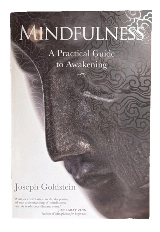 Mindfulness by Joseph Goldstein Trade Paperback Sounds True Buddhism & Meditati…