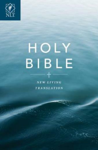 Text Bible-Nlt-Economy