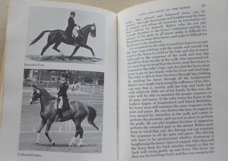 Vintage 1977 1st Edition Training the Horse and Rider by Fritz Stecken HB Illus gallery