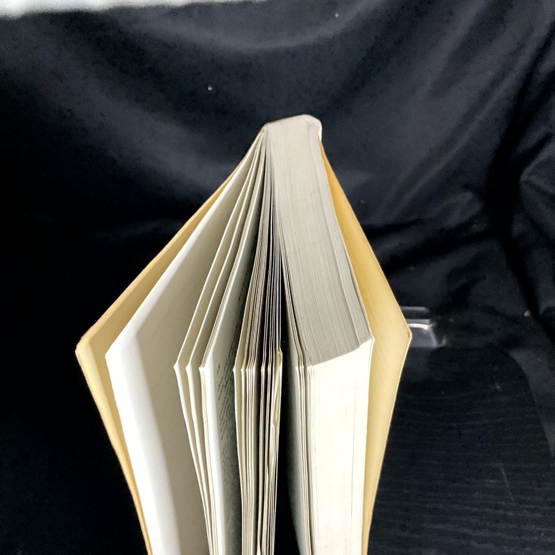 An Adultery Alexander Theroux First Collier Edition 1988 Literary Fiction Novel gallery