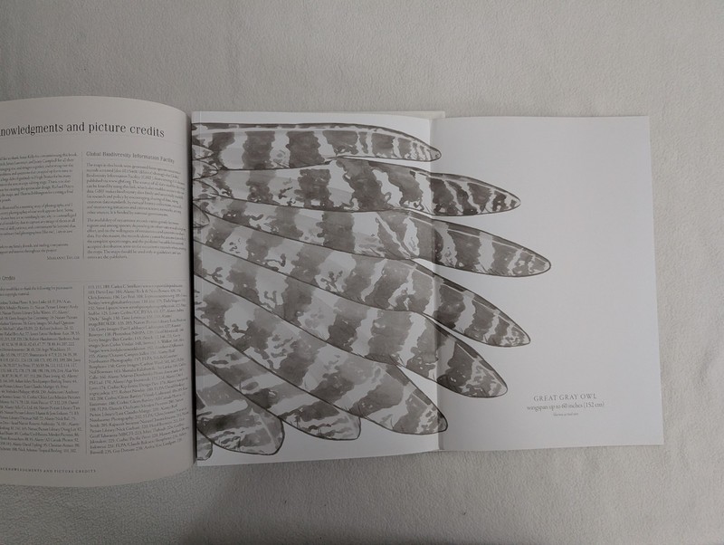 Owls : A Guide to Every Species in the World by Marianne Taylor (2016,... gallery