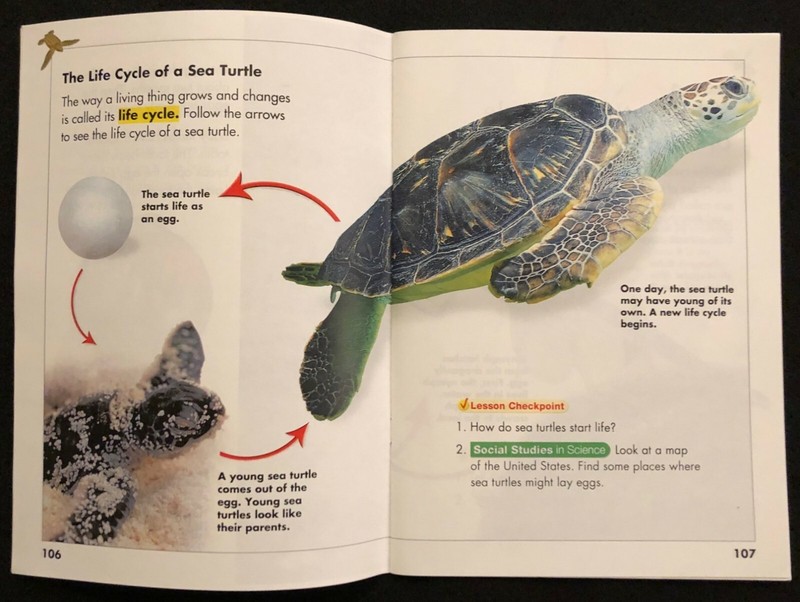 2nd Grade SCIENCE CURRICULUM READERS - LARGE Chapter Booklets (2008, Pearson) gallery