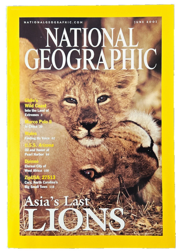 ASIA’S LAST LIONS POACHING STORIES JUNE 2001 NATIONAL GEOGRAPHIC MAGAZINE LOT