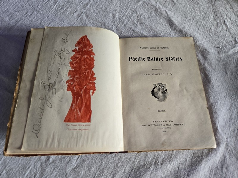 Pacific Nature Stories, Volume II, by Harr Wagner, 5" x 7", RARE, 1896 gallery