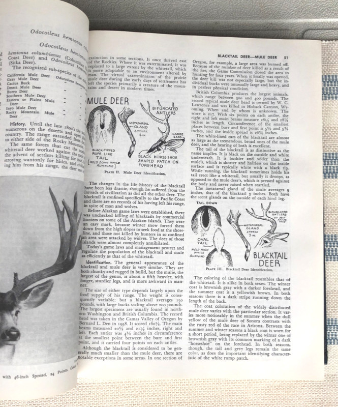 The New Hunters Encyclopedia editor Raymond R. Camp 1972 Third Revised Edition gallery