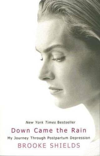 Down Came the Rain: My Journey Through Postpartum Depression – Paperback – GOOD