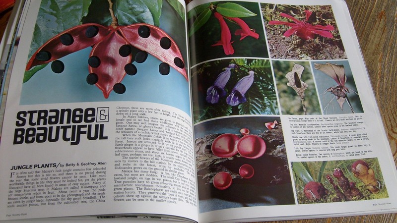 Lot of 2 The Straits Times Annual Magazine 1967 & 1968 Singapore Malaysia gallery