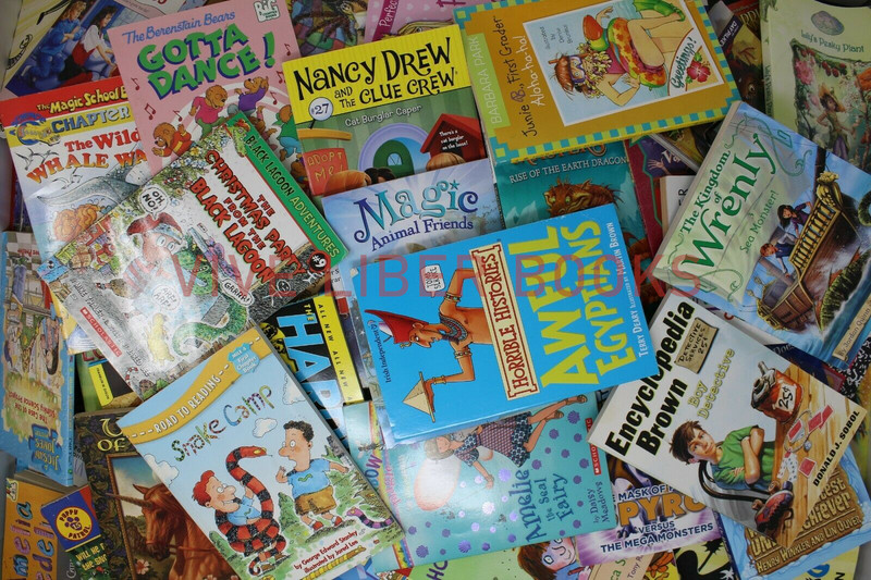 Bulk/Huge Lot of 50 of Children's Kids Chapter Books - Random - Free Shipping! gallery