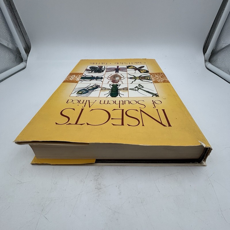 Insects of Southern Africa | Scholtz Holm | 1990 Butterworths Entomology Guide gallery