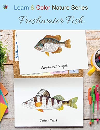 Freshwater Fish (Learn Color – VERY GOOD