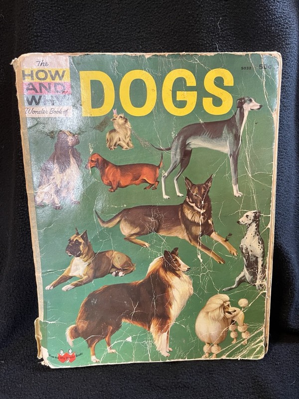 Vintage Children’s Book, The Wonder Book Of Dogs, 1962