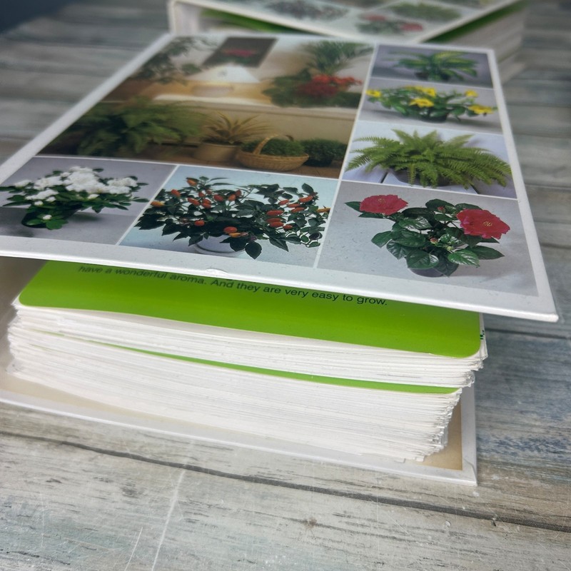 Success with House Plants 4 binders Sets 1 to 19 Plant Care Vintage gallery