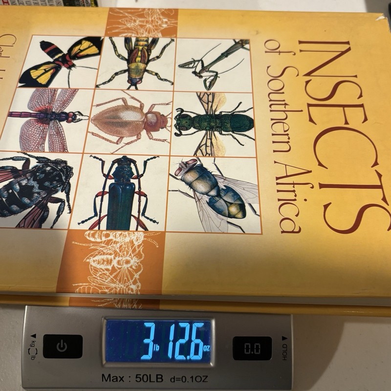 Insects of Southern Africa | Scholtz Holm | 1990 Butterworths Entomology Guide gallery