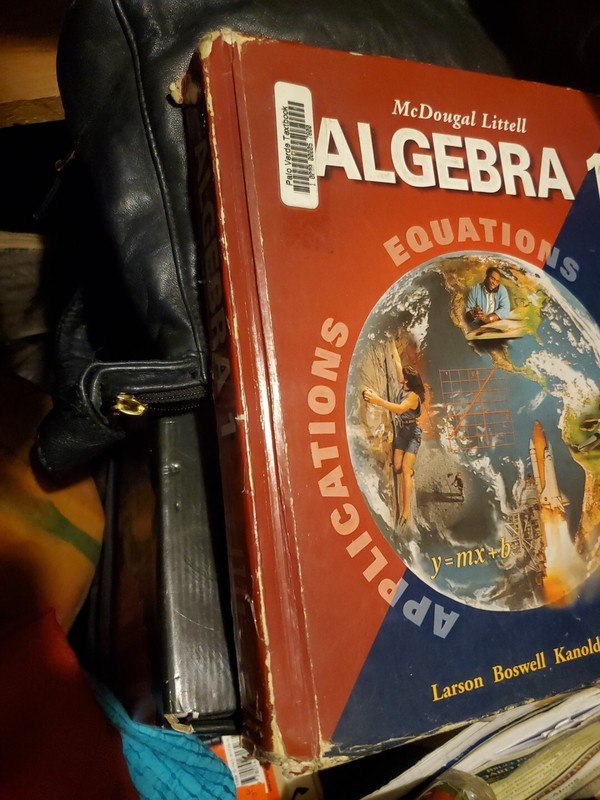 Algebra 1 by Ron Larson, Lee Stiff, Laurie Boswell and Timothy D. Kanold (1999, gallery