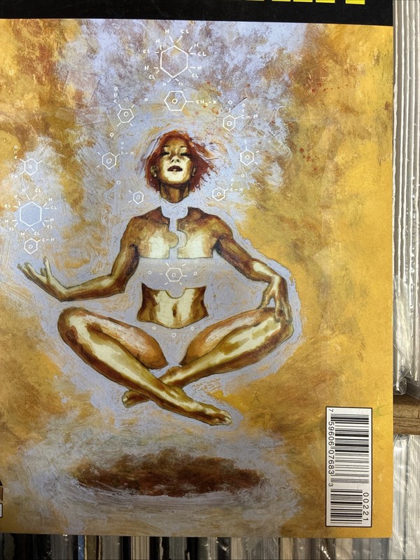 Brilliant #2 1:25 David Mack Variant Icon Comics 2012 Sent In A Cardboard Mailer gallery