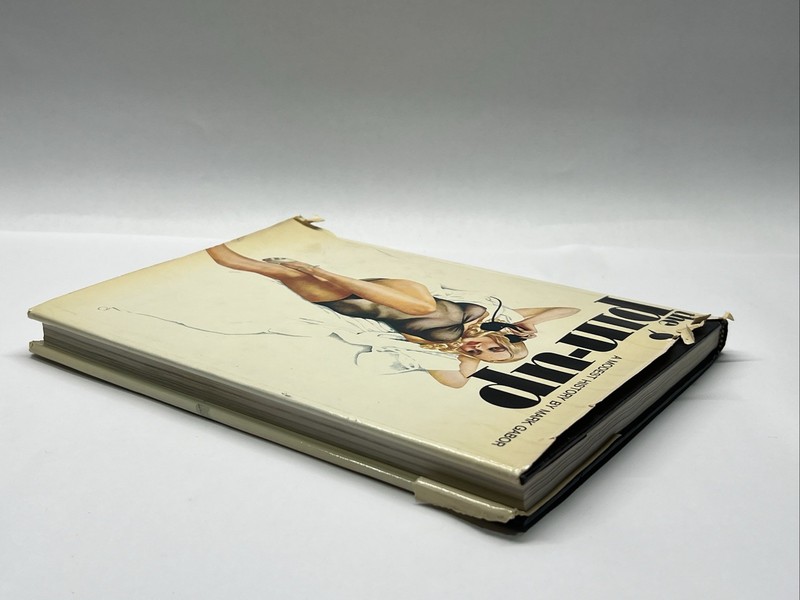 1972 THE PIN-UP A Modest History by Mark Gabor Book gallery