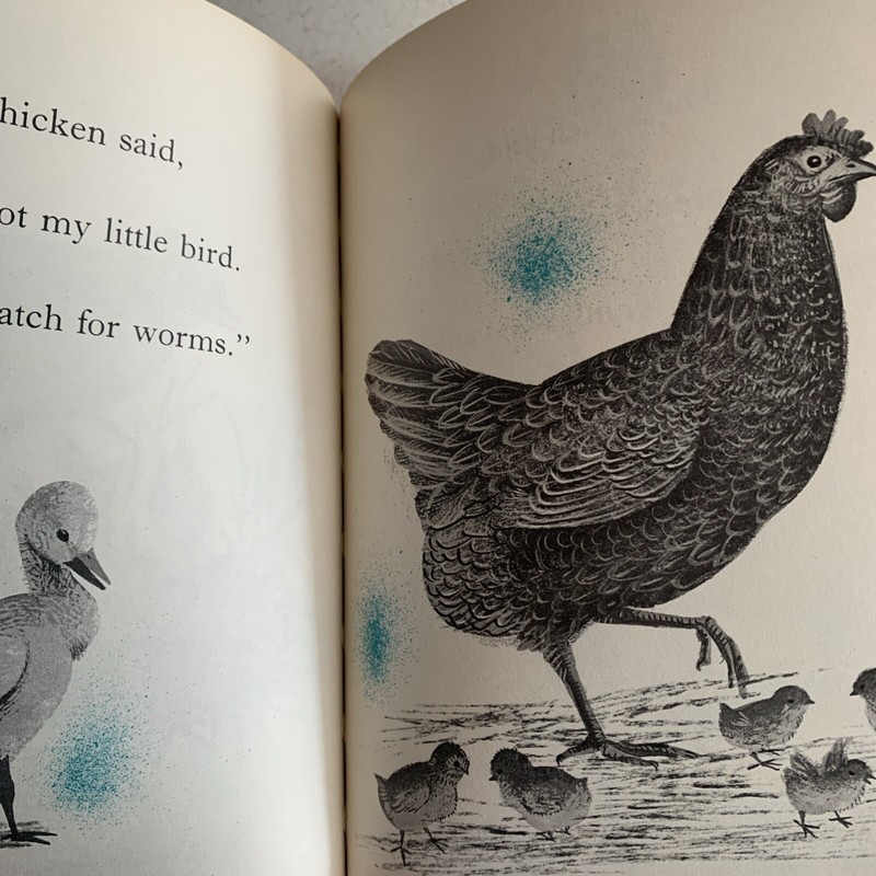 Whose Little Bird Am I? Leonard Weisgard 1st Edition Children’s Book VTG Rare gallery