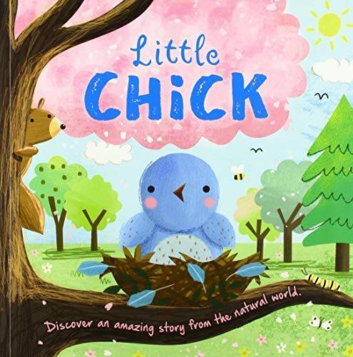 Little Chick (Nature Stories) – Paperback By Gardner – VERY GOOD