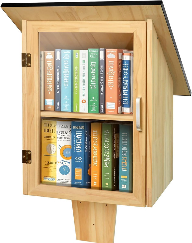 Outdoor Library Book Box, Double Little Library for Sharing Books, DIY Storage W