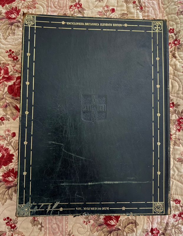 Encyclopedia Britannica 11th Edition (1910 to 1911), Volume XVIII, MED to MUM gallery