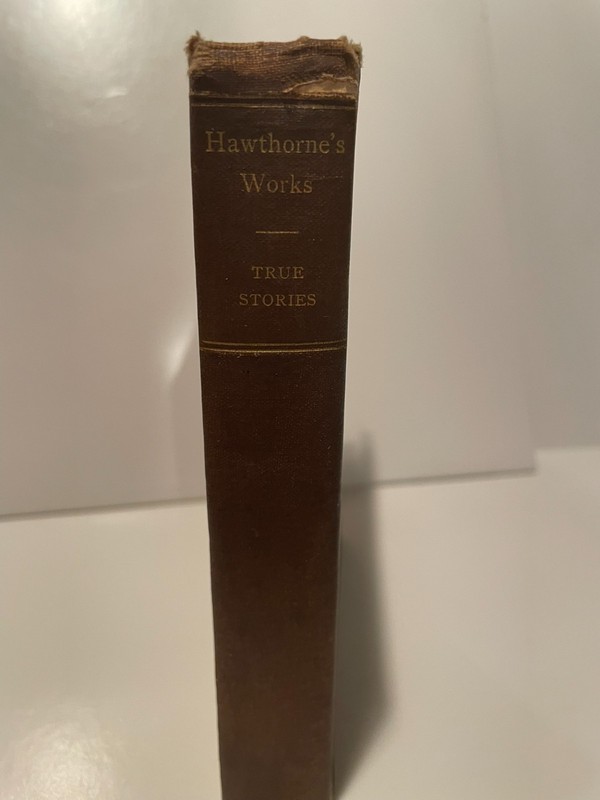 True Stories from History and Biography: Nathaniel Hawthorne, 1878