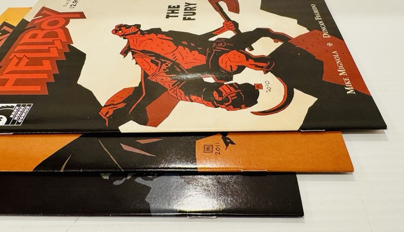HELLBOY THE FURY #s 1 2 3 [2011 3 Comics Dark Horse] NM Mignola Fegredo BPRD gallery