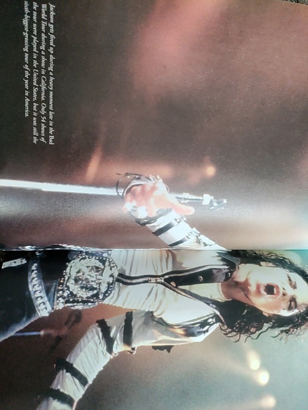 Michael Jackson : The One and Only by Triumph Books Staff (2009, Paperback) gallery