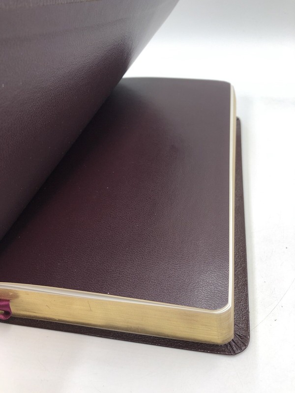Sonrise Daily Devotional Bible~Thomas Nelson 2004 Bonded Leather ~ Burgundy gallery