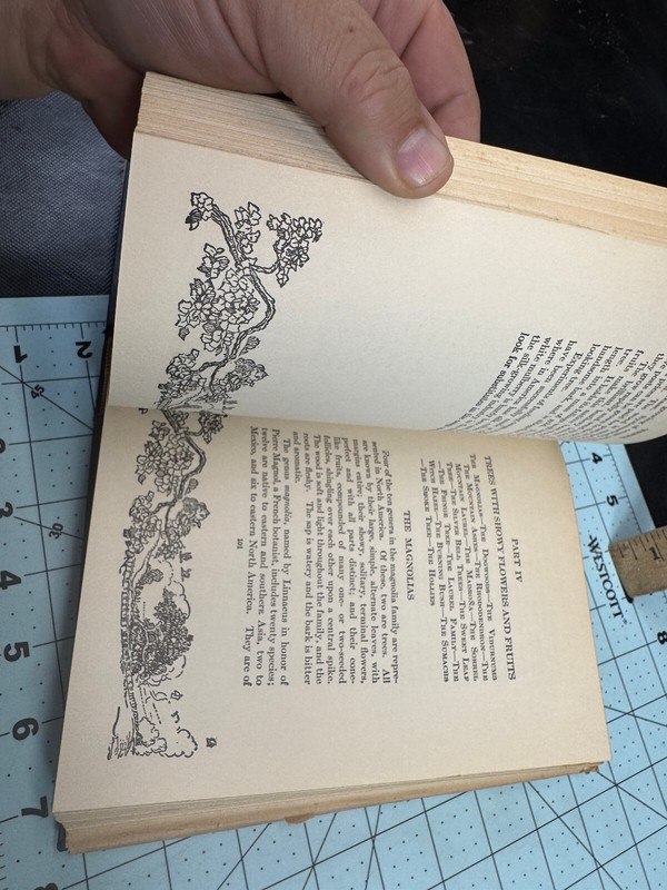 The Nature Library: Trees By Julia Ellen Rogers Hardcover Illistrated 1930 Dust gallery