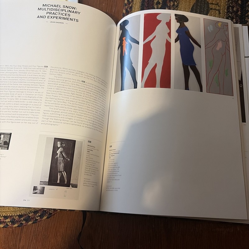 Quebec and Canadian Art: The Montreal Museum of Fine Arts Collection Vol 1 HC VG gallery