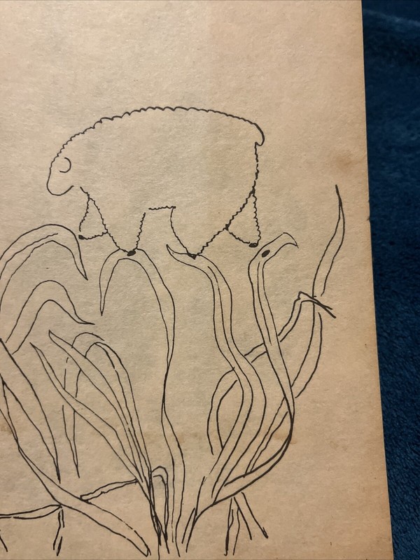 Lynx Poetry Volume 1 No 2 Spring 1973 Amherst Massachusetts MA Various Vintage gallery