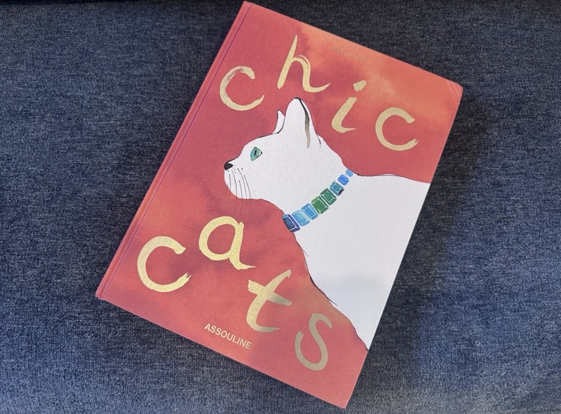 Assouline Chic Cats Hardcover Book (please Read Description, Free Gift Included)