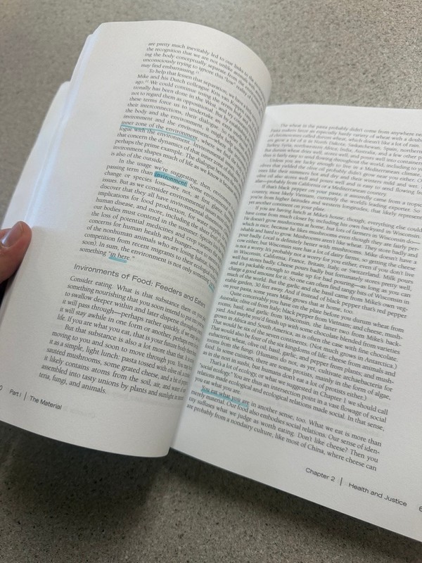 An Invitation to Environmental Sociology by Bell, Michael Mayerfeld gallery