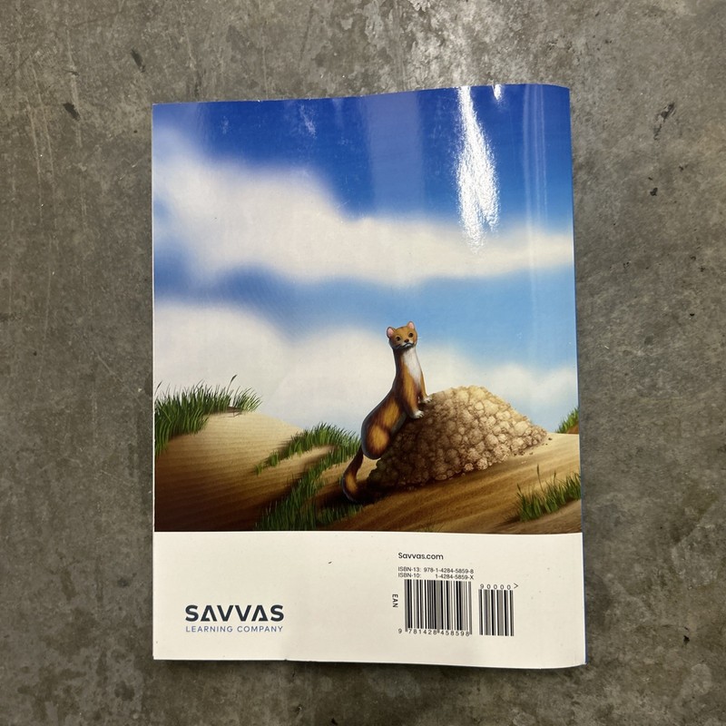 Grade 3 Envision Florida B.E.S.T. Mathematics Student Ed VoL 1 2023 BEST NEW gallery