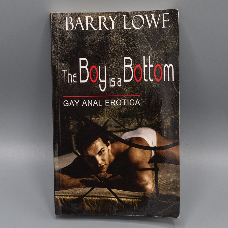 The Boy is a Bottom by Barry Lowe (2013, Trade Paperback) Gay Interest