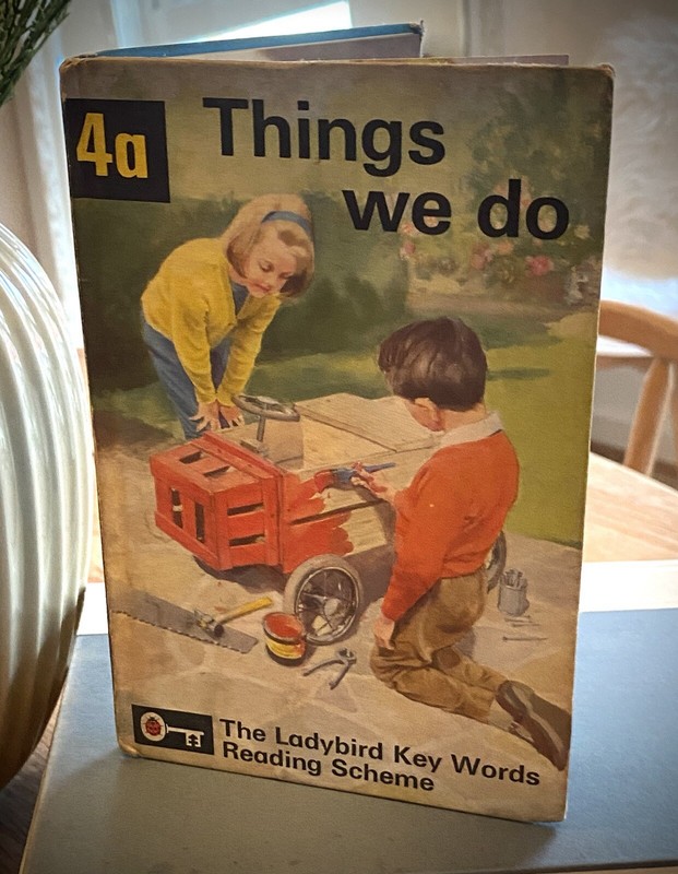 LADYBIRD BOOK KEY WORDS READING SCHEME THINGS WE DO 4a
