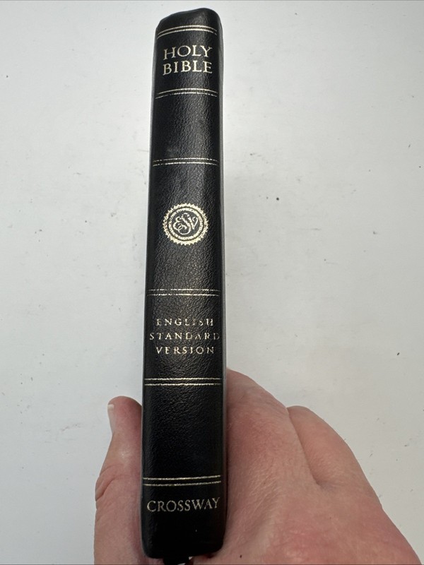 Compact Thinline Bible-Esv by English Standard Version