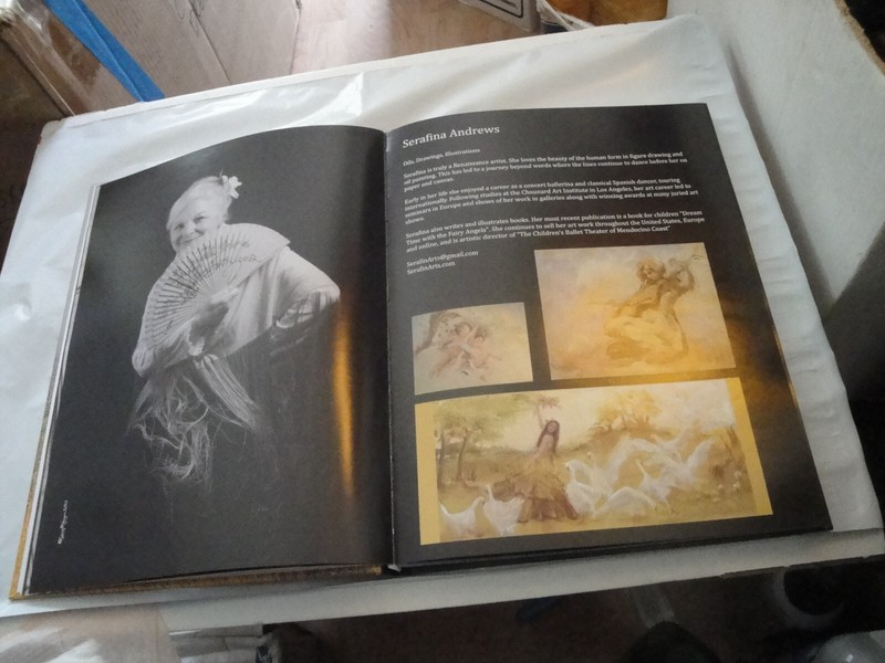MENDOCINO ARTISTS Photoraphed and Edited by Larry R Wagner 182 pages Hardcover gallery