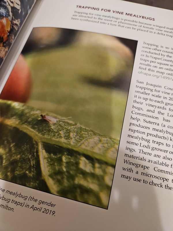 Agricultural Winegrape Book 137 Pages gallery