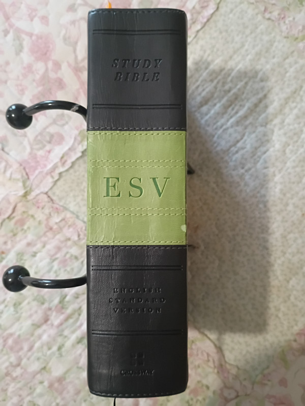 ESV Study Bible, Personal Size (TruTone, Charcoal/Sage, Trail Design)
