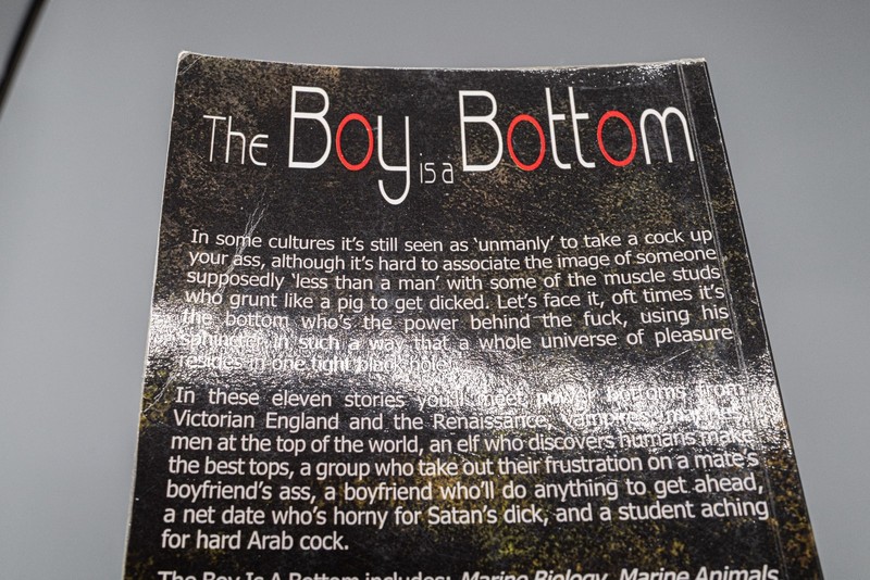 The Boy is a Bottom by Barry Lowe (2013, Trade Paperback) Gay Interest gallery