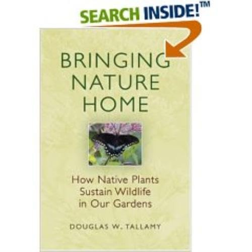 Bringing Nature Home: How Native Plants Sustain Wildlife in Our