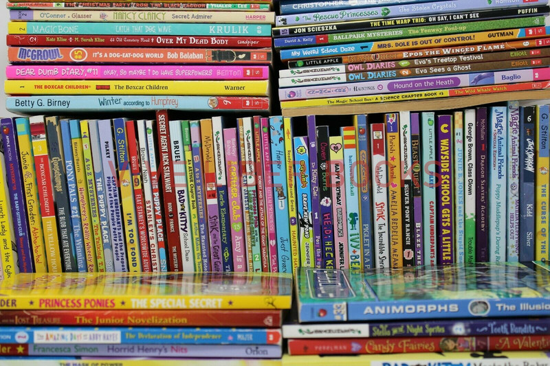 Bulk/Huge Lot of 50 of Children's Kids Chapter Books - Random - Free Shipping! gallery