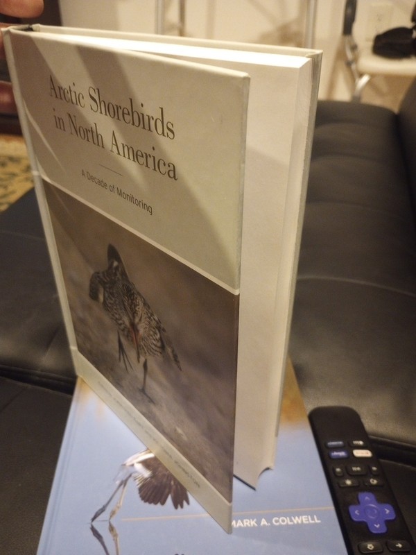 Studies in Avian Biology Ser.: Arctic Shorebirds in North America : A Decade of gallery