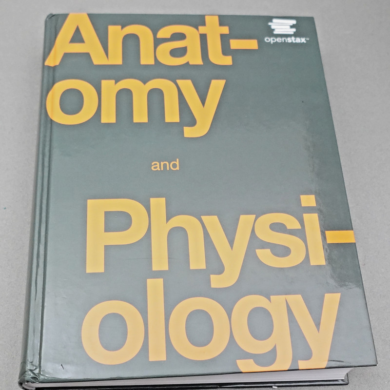 Anatomy and Physiology by OpenStax Hardcover by Kelly Young Science Research