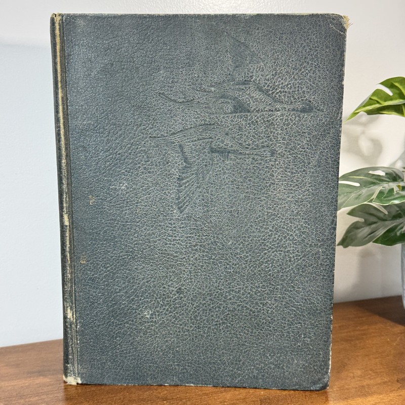 1936 Birds of America Louis Agassiz Fuertes 106 Color Plates Garden City gallery