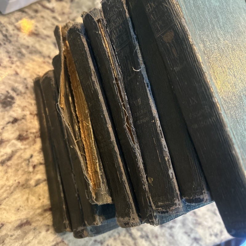 Poe Works of Edgar Allan Poe 1904 Hc 10 Vol Set Funk & Wagnalls Missing book 4 gallery