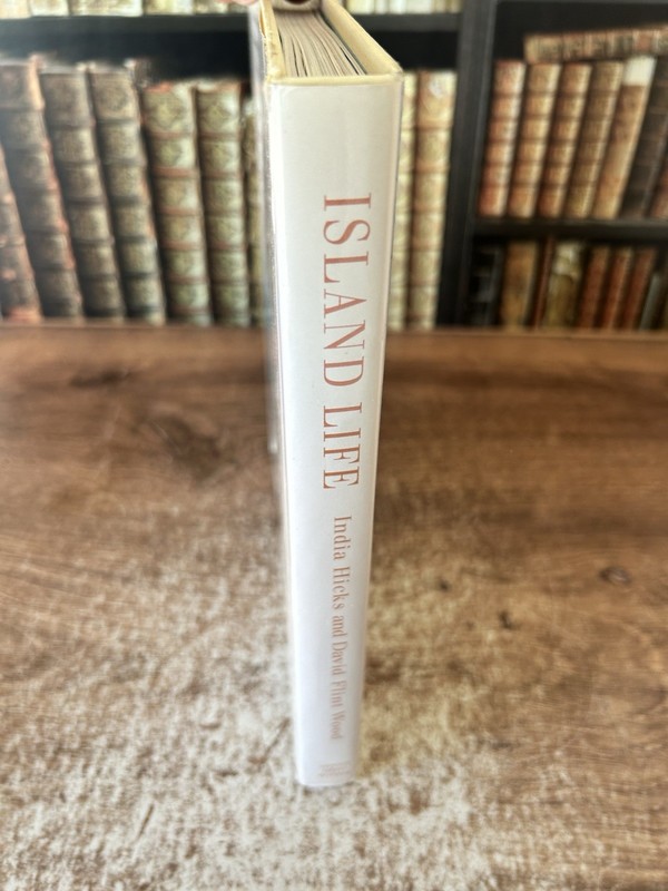 ISLAND LIFE: INSPIRATIONAL INTERIORS By India Hicks - Hardcover **Excellent** gallery
